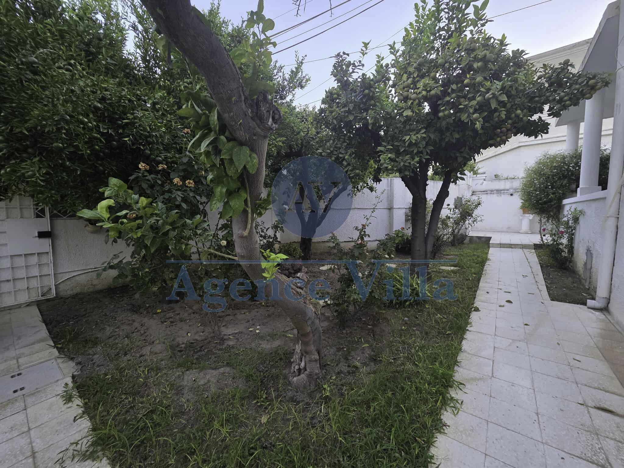 Carthage Carthage Vente Maisons Une villa  renover  carthage