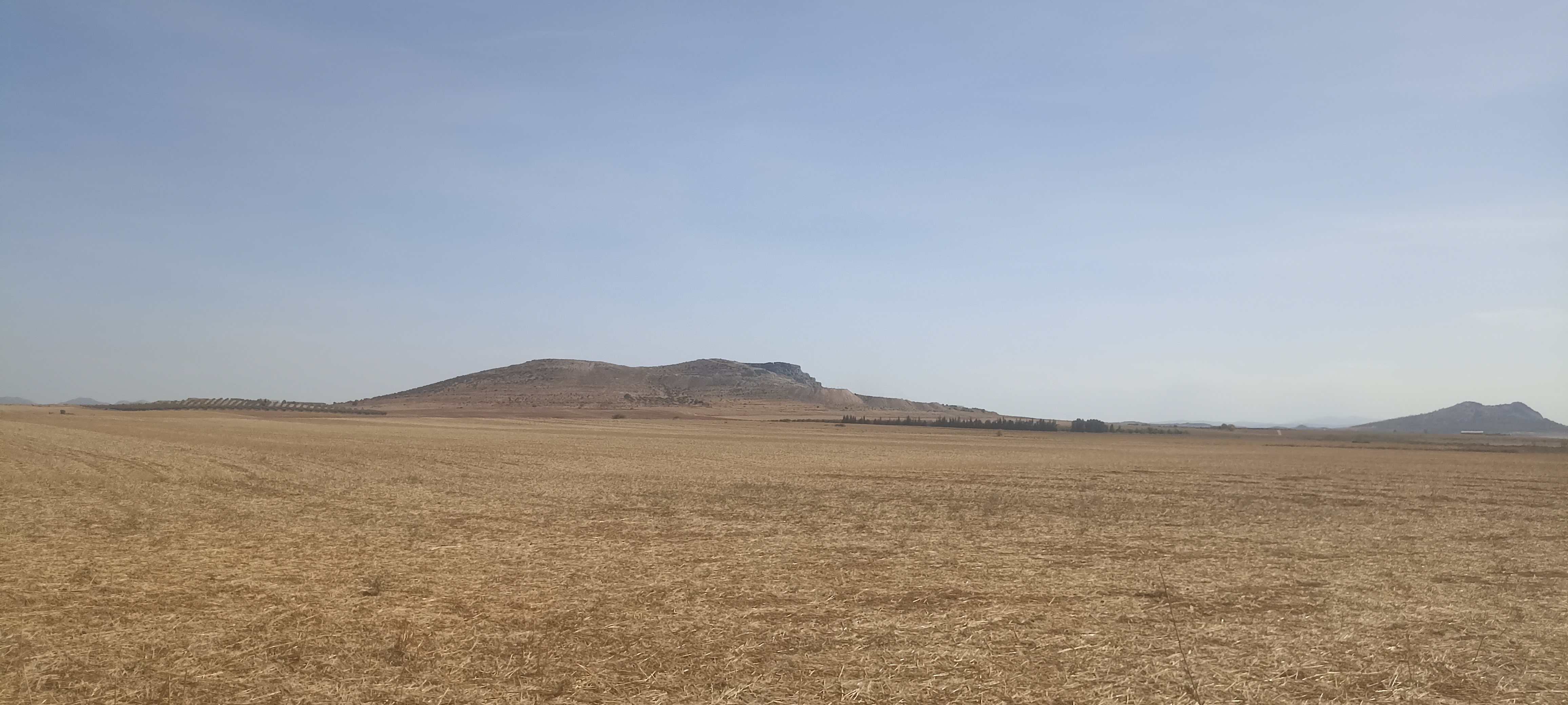 Bir Mcherga Delaiel El Arouss Terrain Terrain agricole 8 hectares nu excellente nappe phratique