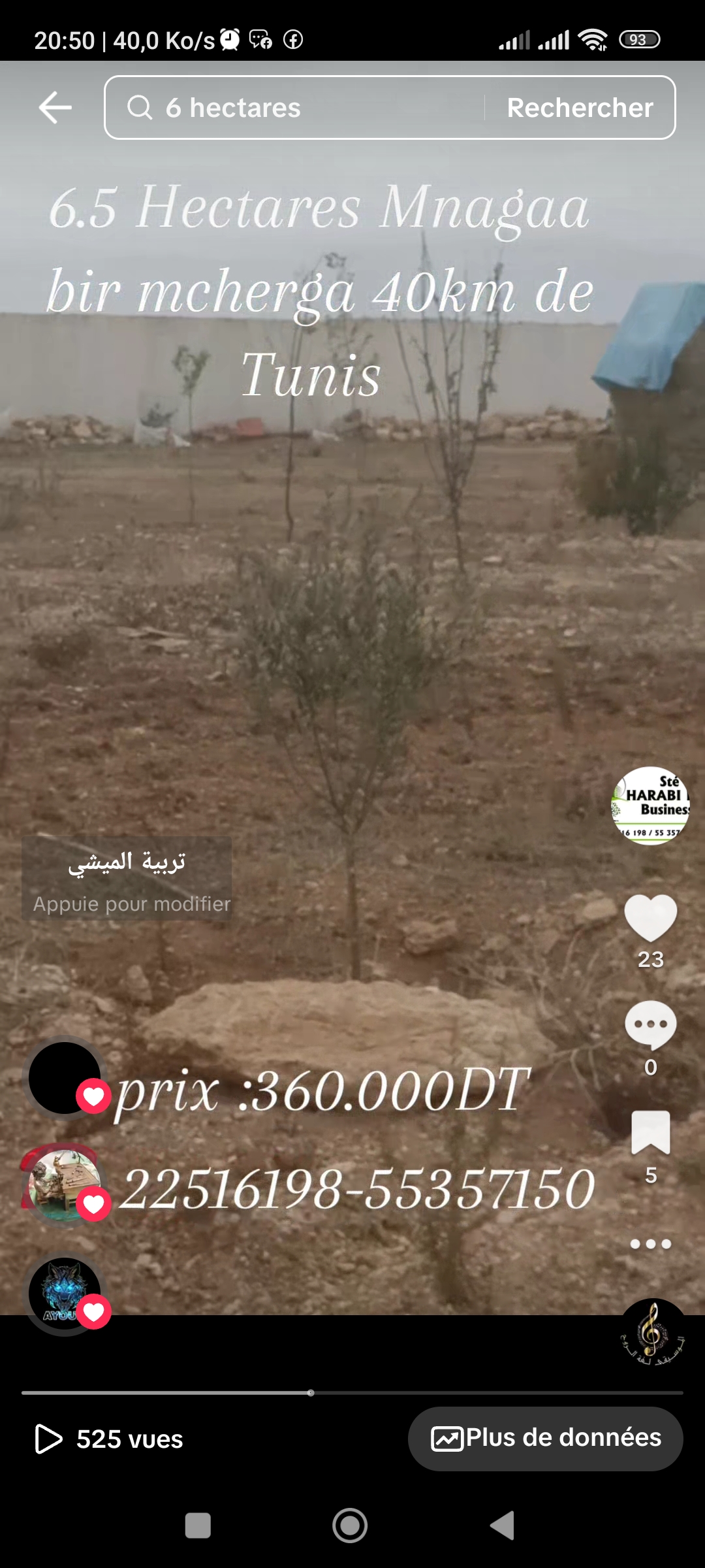 Bir Mcherga Bir Mcherga Terrain Terrain agricole Ferme de 6h5 1 400 oliviers chemlali de trois ans