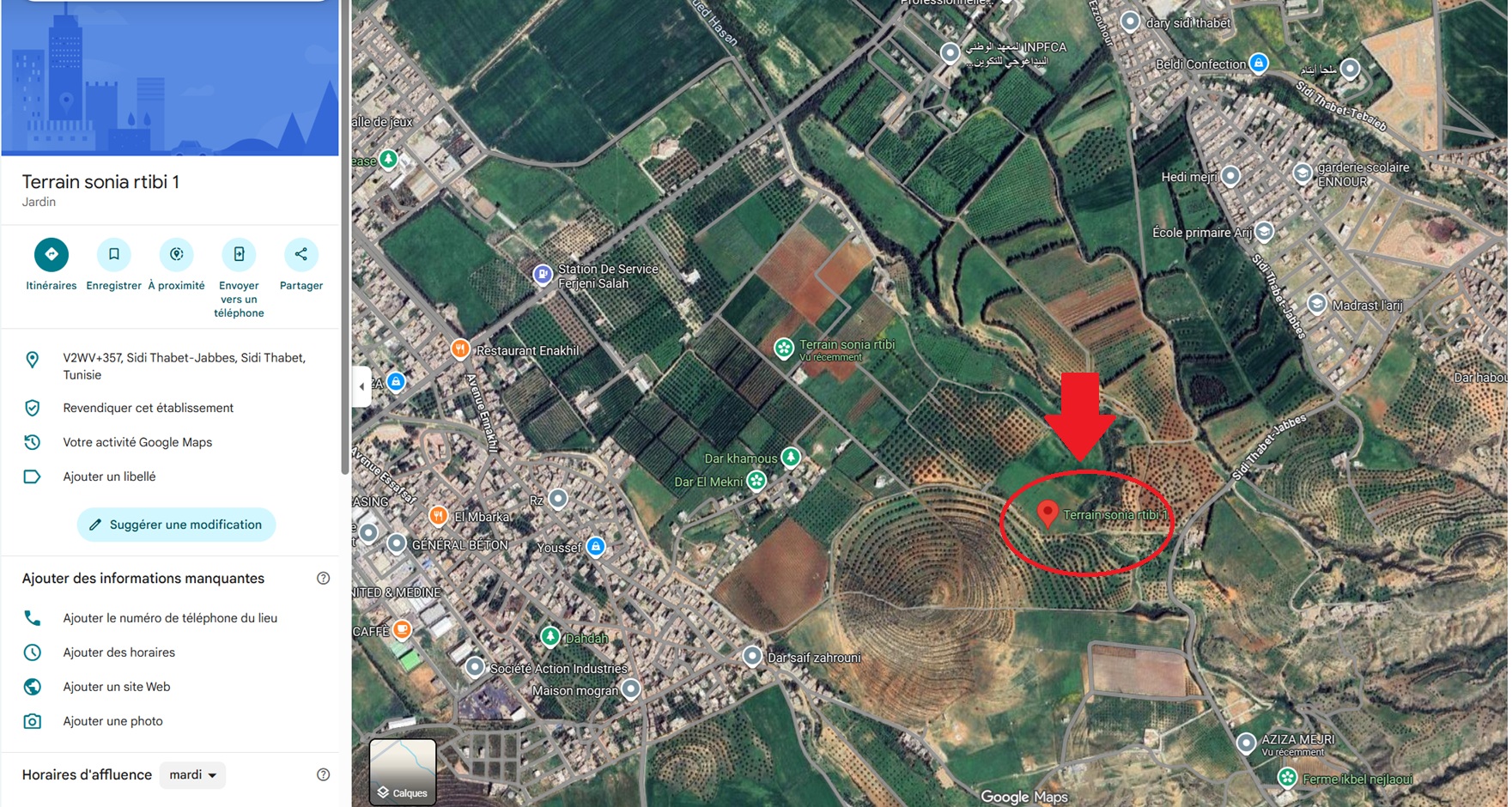 Sidi Thabet Jabbes Terrain Terrain agricole 1 hectare  sidi thabet jabbes