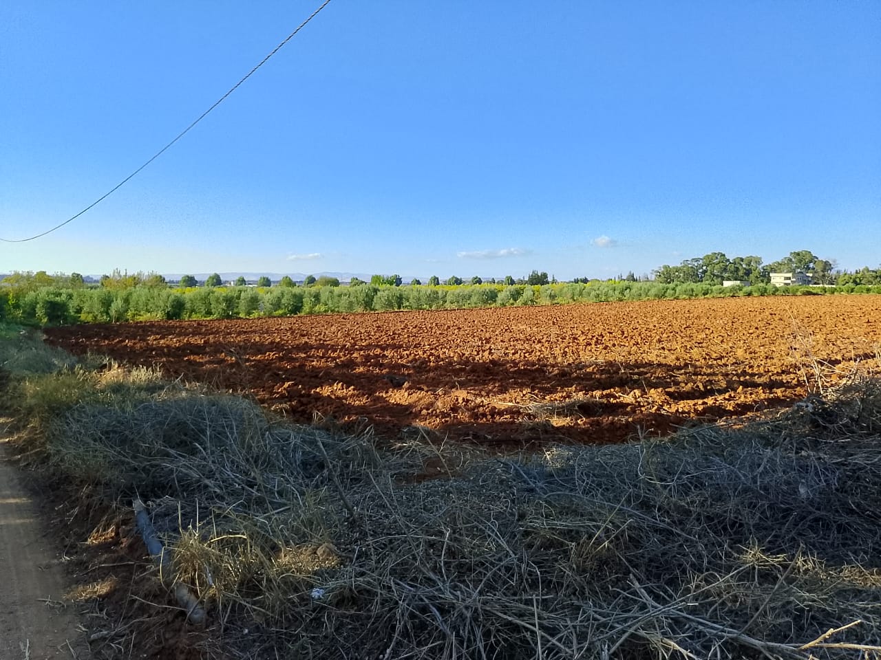 Sidi Thabet Sidi Thabet Terrain Terrain nu Terrain nu sidi thabet