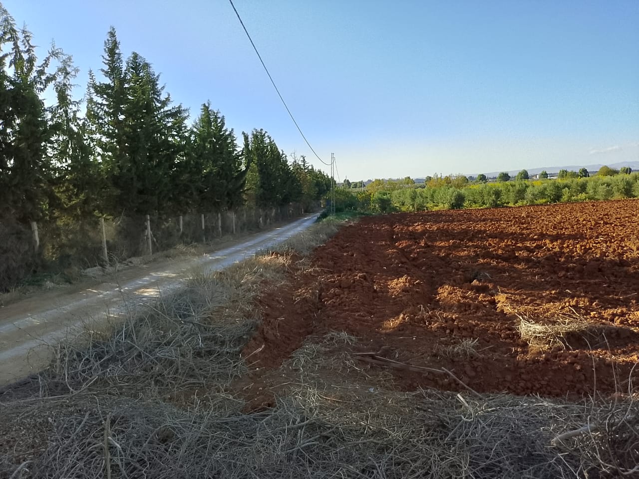 Sidi Thabet Sidi Thabet Terrain Terrain nu Terrain nu sidi thabet