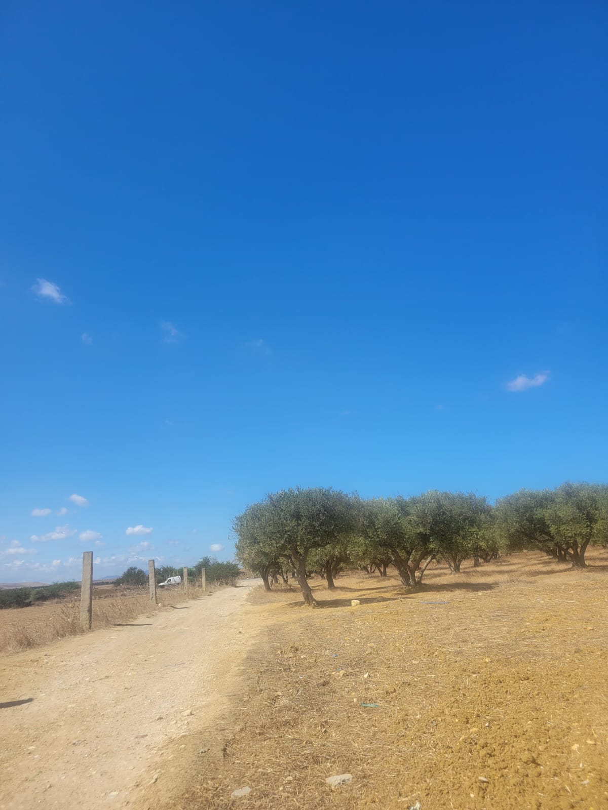 Bizerte Nord Bizerte Vente Appart. 1 pice Terrain bouzaria