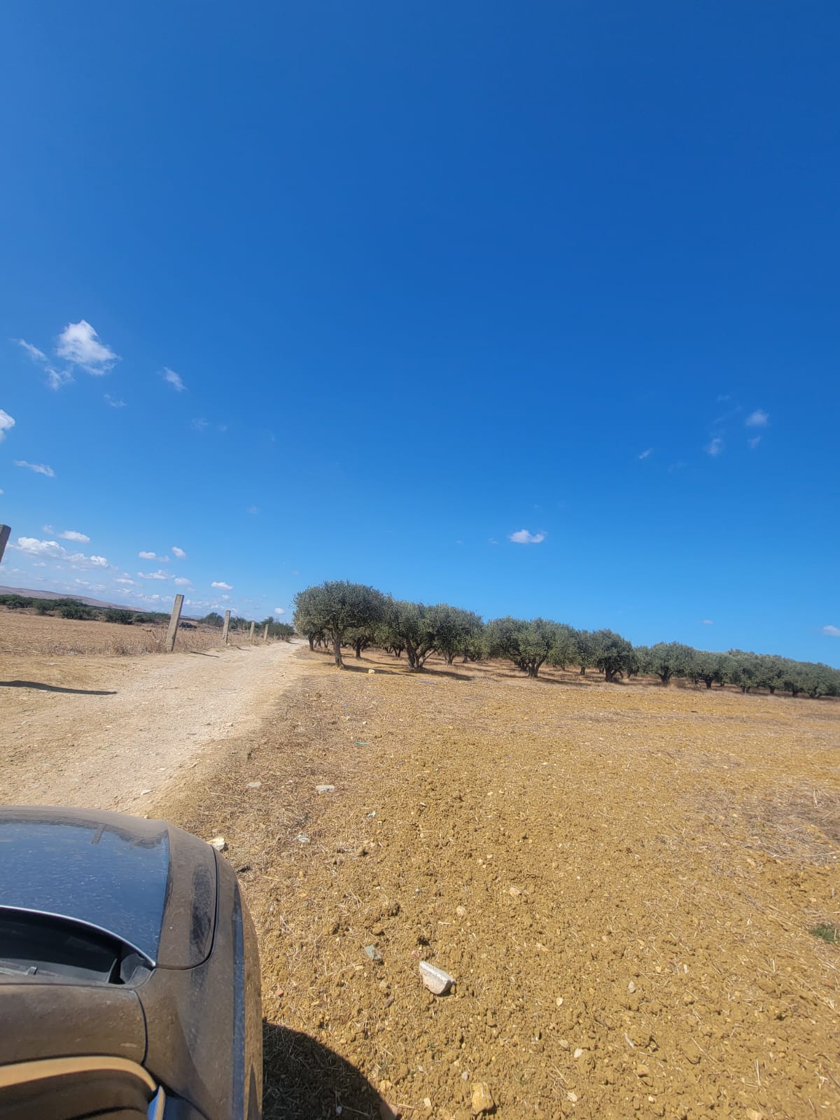 Bizerte Nord Bizerte Vente Appart. 1 pice Terrain bouzaria