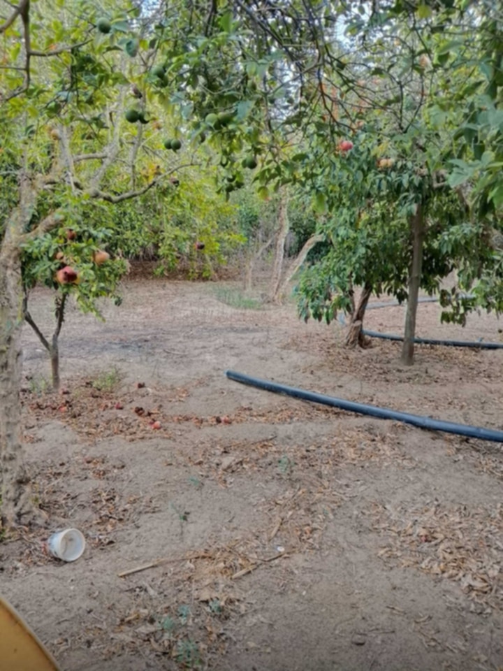 Ras Jebel Ras Jebel Terrain Terrain agricole Occasion  saisir  ras jbal