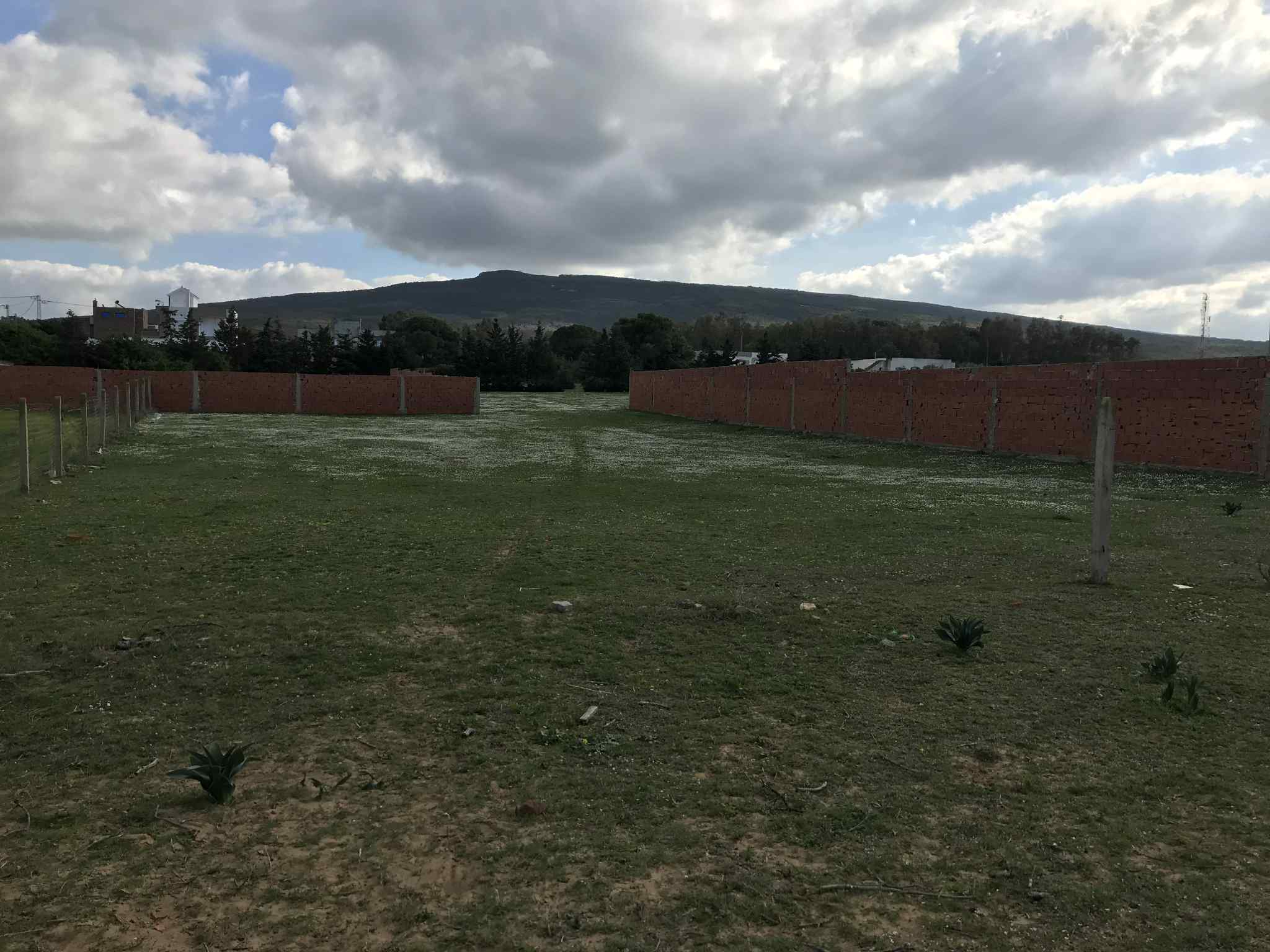 Takelsa Rtiba Terrain Terrain nu Terrain nu  rtiba