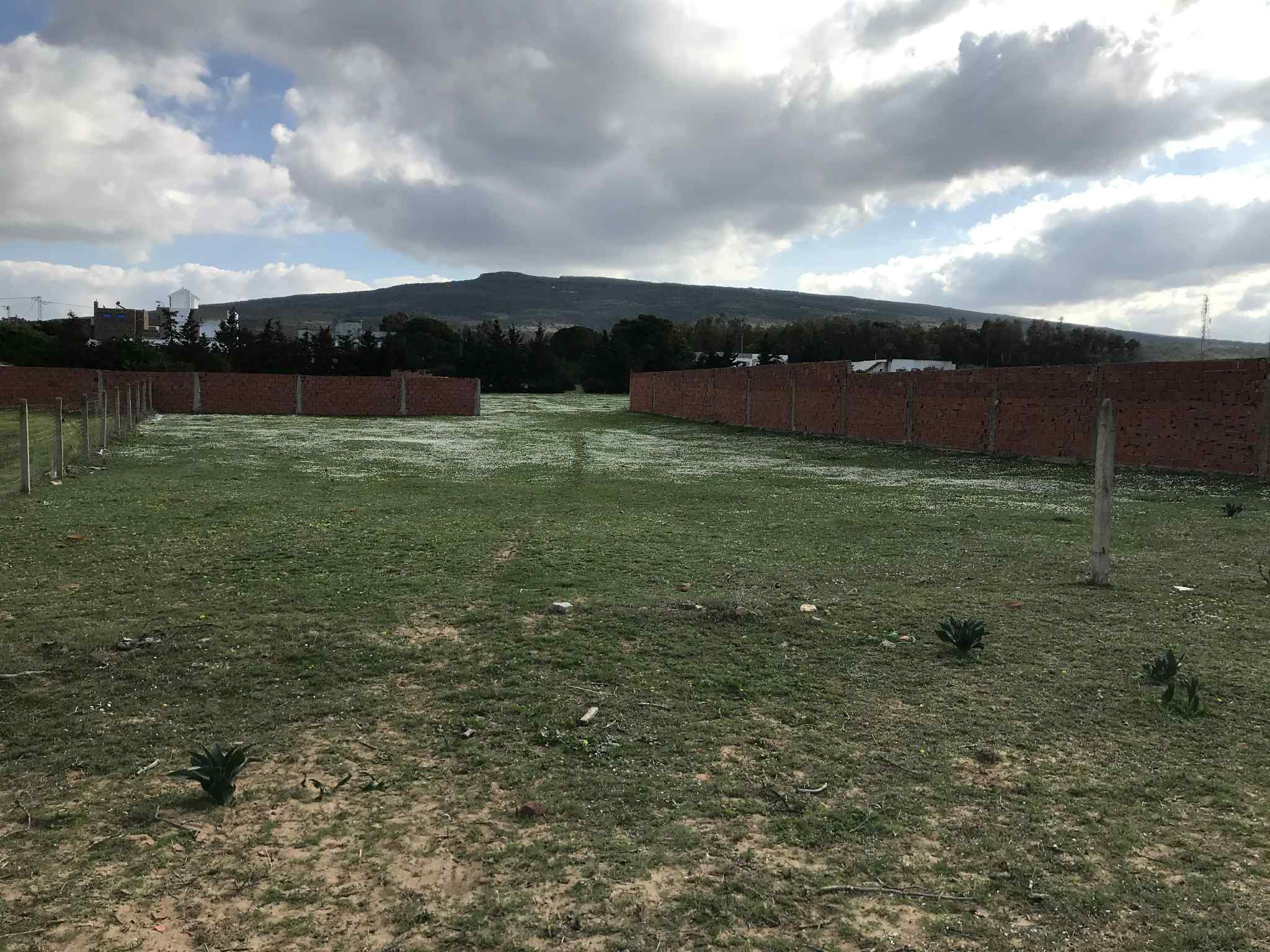 Takelsa Rtiba Terrain Terrain nu Terrain nu  rtiba
