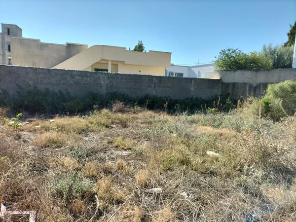 Raoued Cite Ennkhilet Terrain Terrain nu Terrain constructible cltur fait le coin