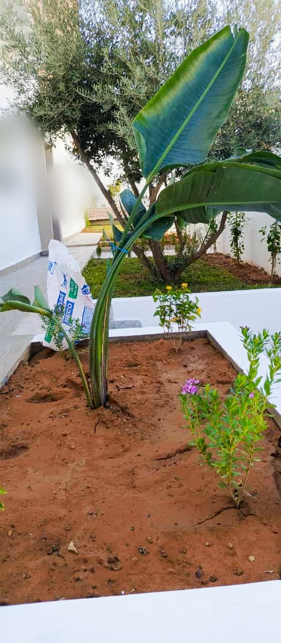 Mnihla Jardins d'el Menzah Location Maisons Jardin d'el menzah joli rdc villa avec jardin