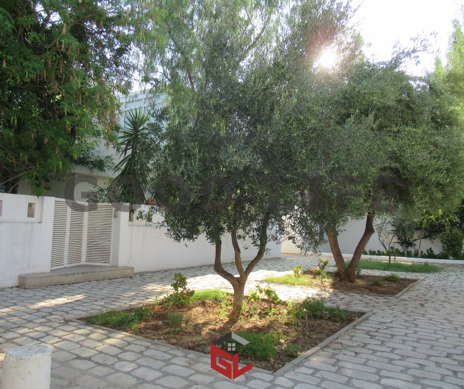 La Marsa Gammart Location Duplex Duplex semi meubl  gammarth
