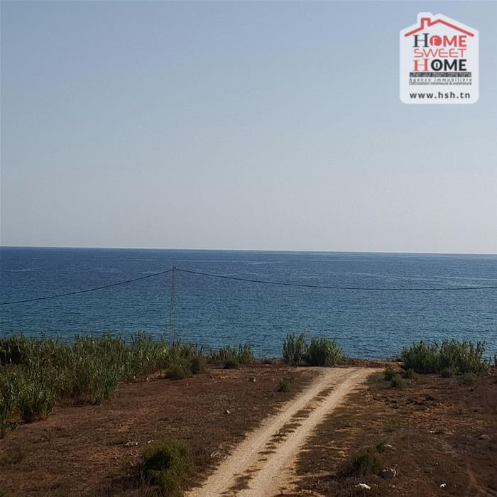 El Haouaria Zaouiet El Mgaies Vente Surfaces Terrain villa lynda   haouaria