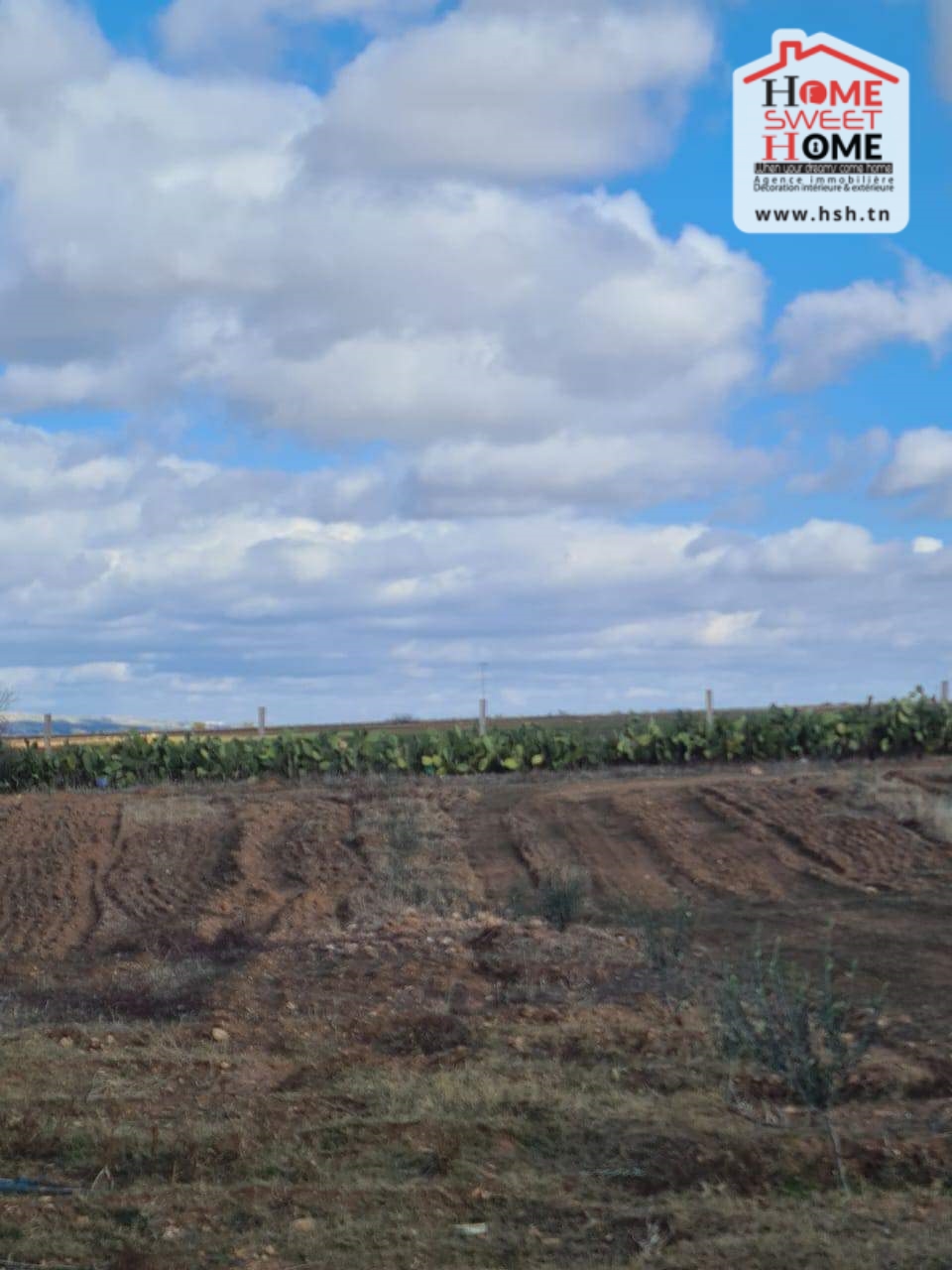 Le Kef Est Le Kef Terrain Terrain agricole Terrain agricole iyad  kef
