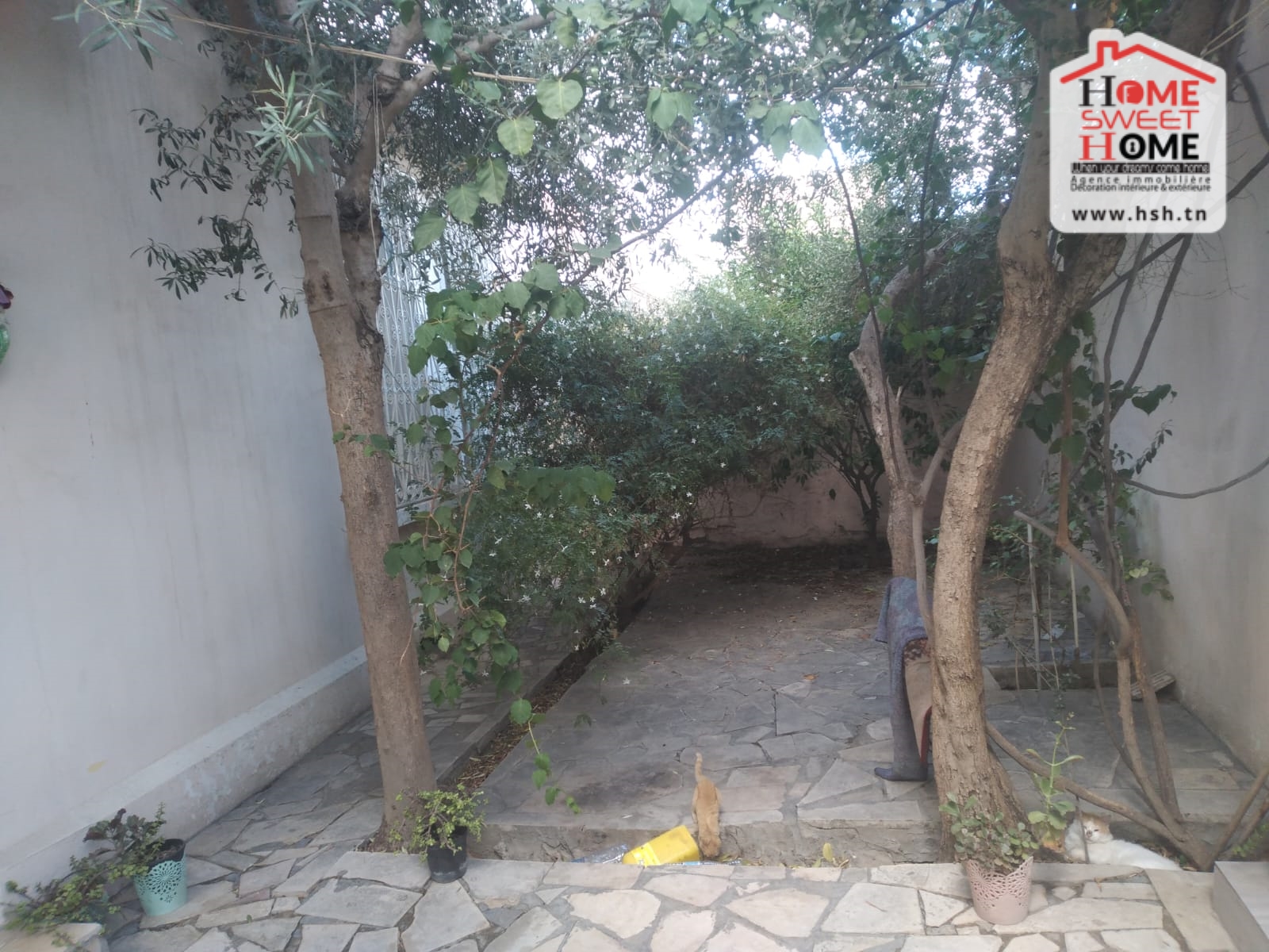 Bab Bhar Bab Bhar Terrain Terrain nu Terrain de villa mariska  bab saadoun