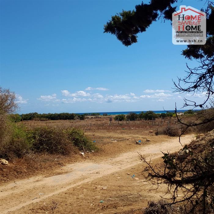Hammam El Ghezaz Hammam El Ghezaz Vente Surfaces Terrain agricole azad   hammem ghzz