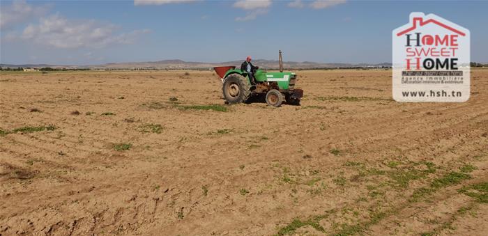 Mejez El Bab Mejez El Bab Vente Surfaces Terrain agricole rana   mjez beb