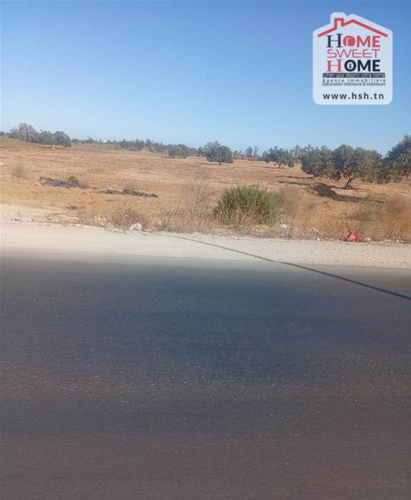 Menzel Temime Chatt Ezzouhour Terrain Terrain nu Terrain villa zouhour  menzel temime