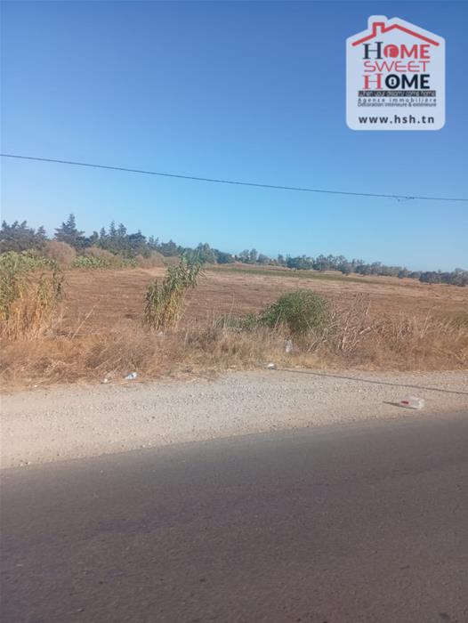 Menzel Temime Chatt Ezzouhour Terrain Terrain nu Terrain villa zouhour  menzel temime