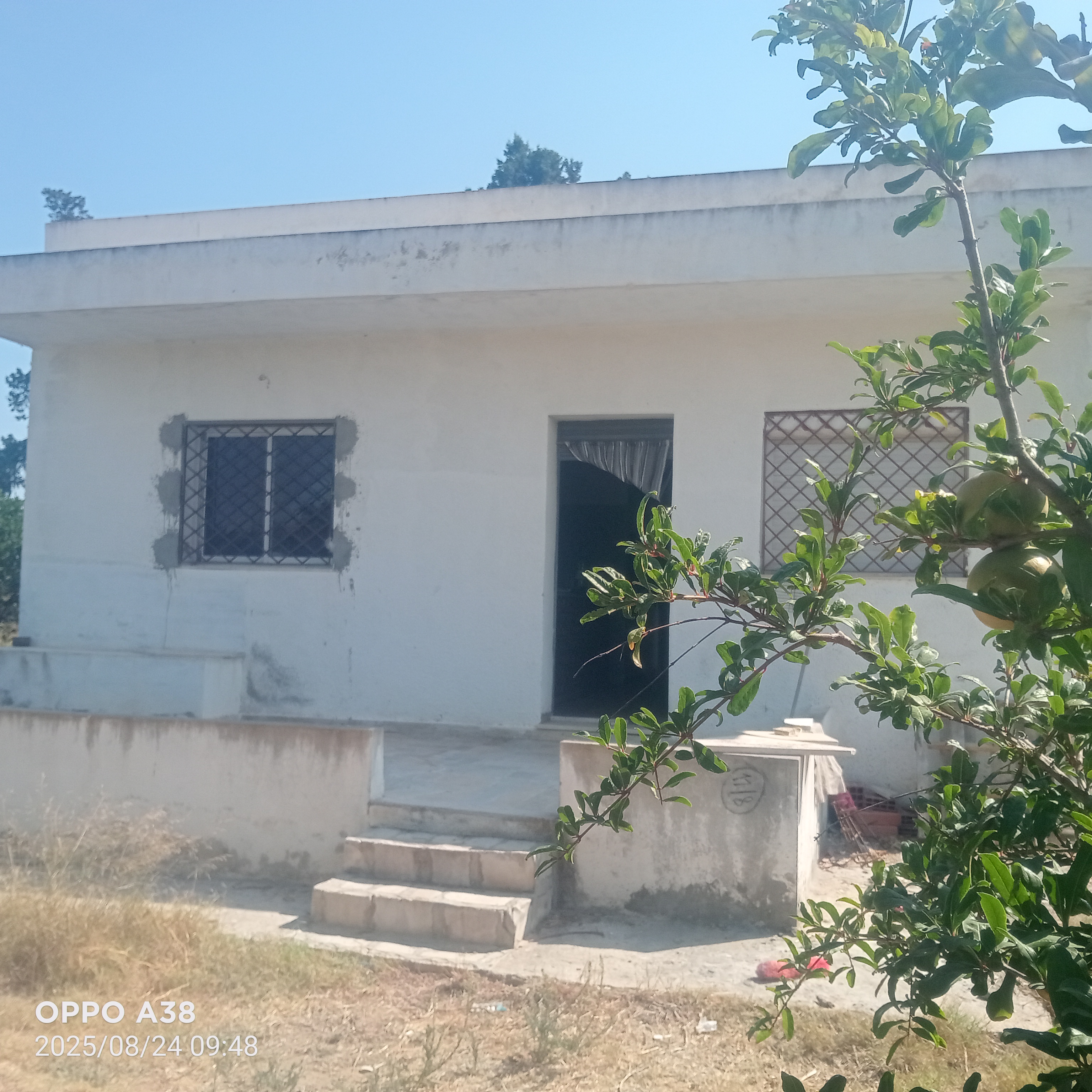 Soliman Soliman Terrain Terrain agricole Senia avec villa