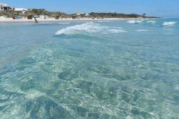 Hammam El Ghezaz Ezzahra Terrain Terrain nu Terrain pied dans l'eau  ezzahra klebia