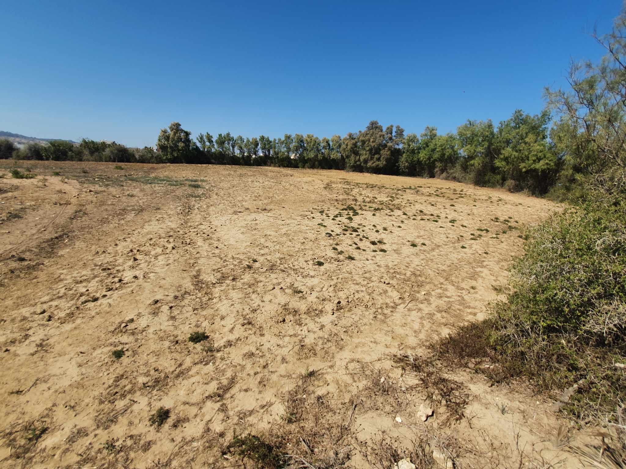 Hammam El Ghezaz Hammam El Ghezaz Terrain Terrain nu Terrain pied dans l'eau hammem ghezaz
