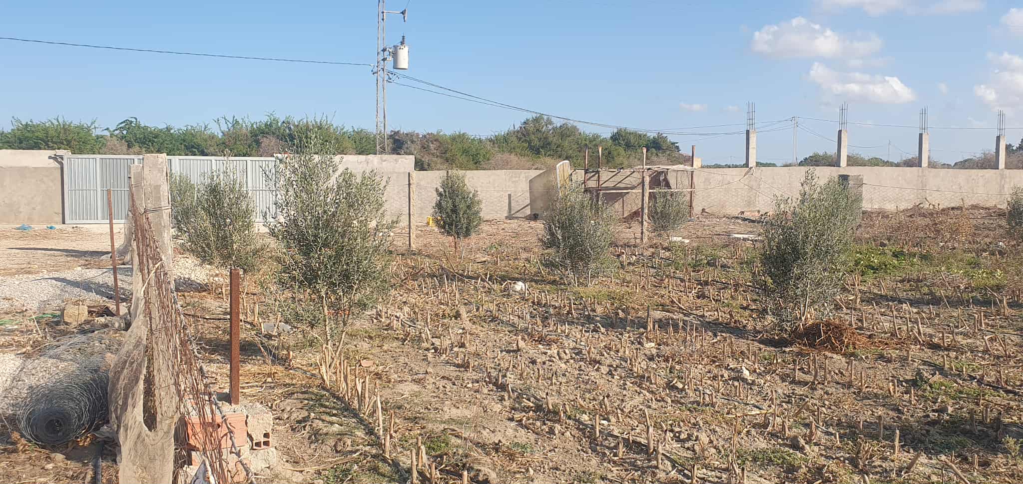 El Haouaria Charaf Terrain Terrain agricole Ferme situe dans la rgion de charef houaria
