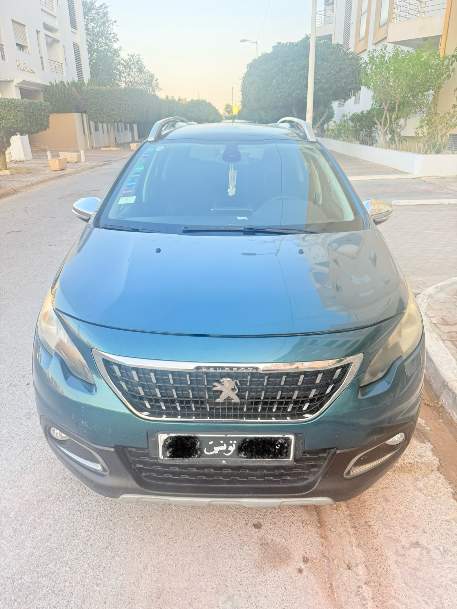 Ain Zaghouan Jardins de Carthage Peugeot Autre Modle Peugeot 2008