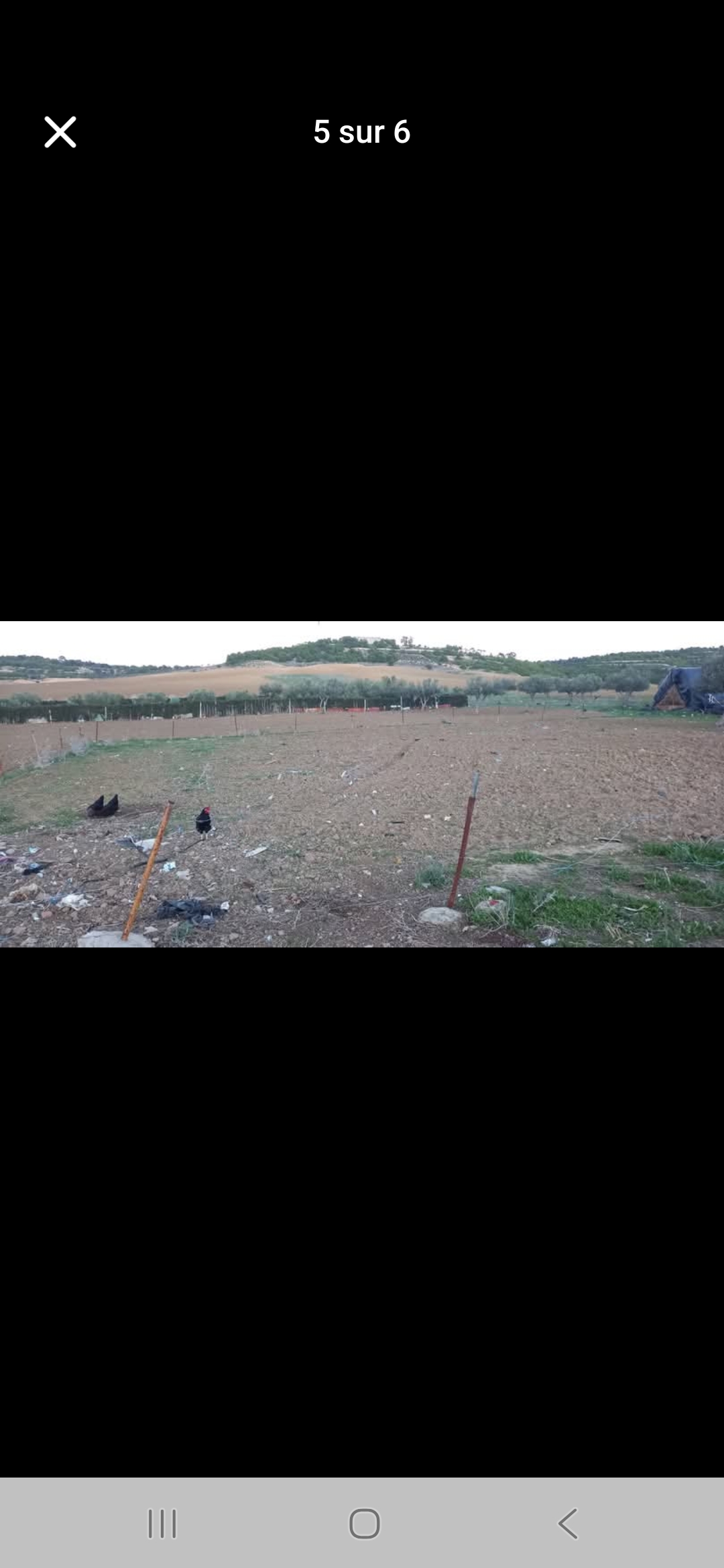 Sidi Hassine Borj Chakir Terrain Terrain nu Terrain de 436m2  et 877m2