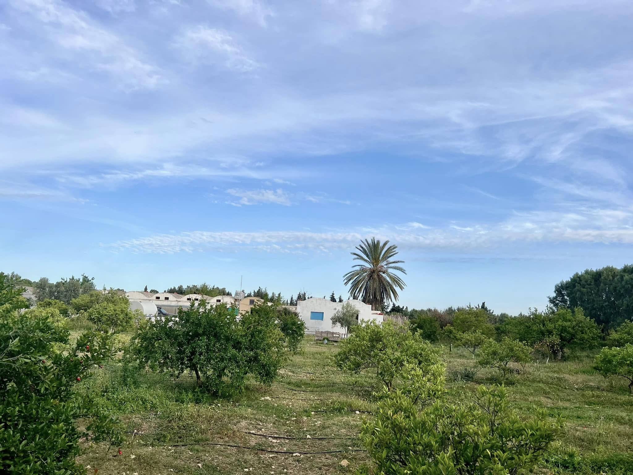 Soliman Soliman Terrain Terrain agricole Ferme a slimen