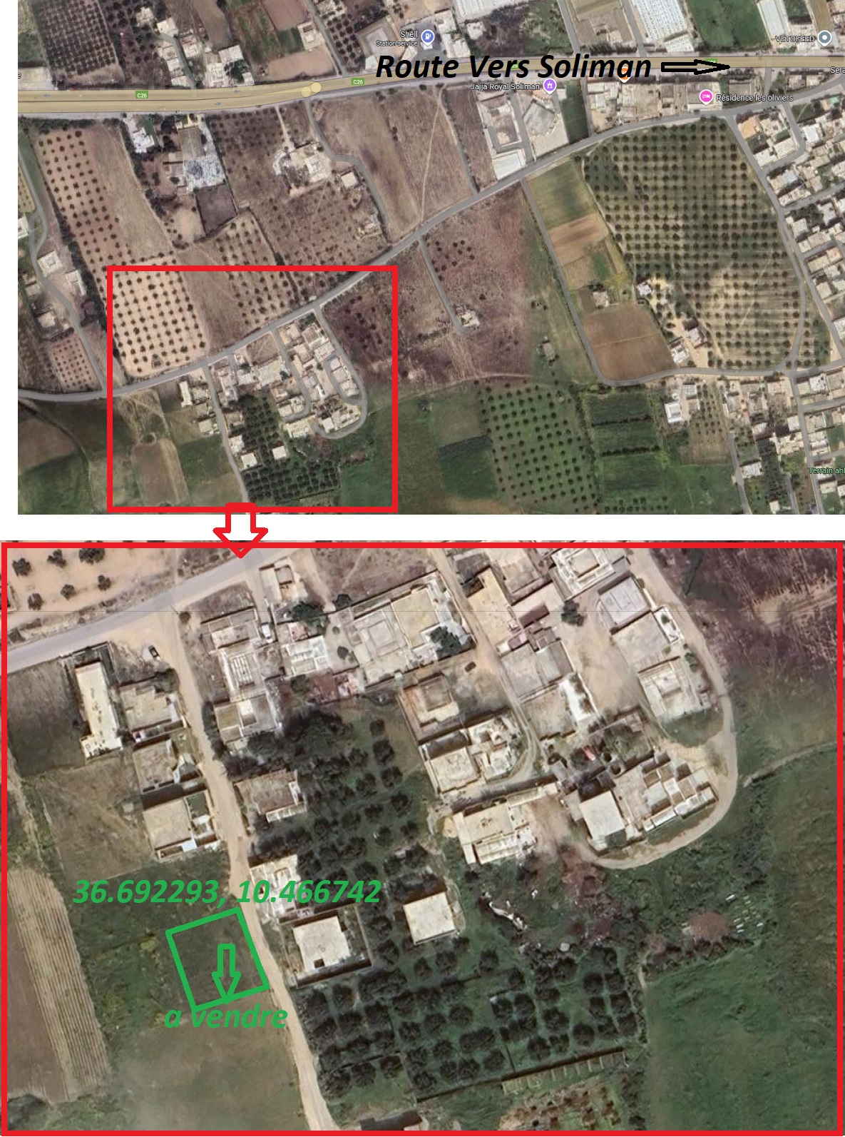 Soliman Dhahri Terrain Terrain nu Trs beau terrain d avenir