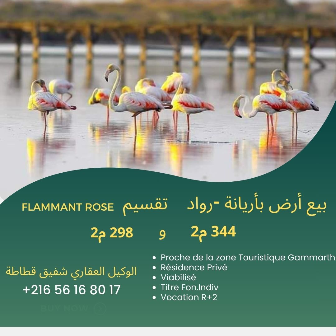 Raoued Raoued Terrain Terrain nu Raoued plage lot flammant rose vnt ter