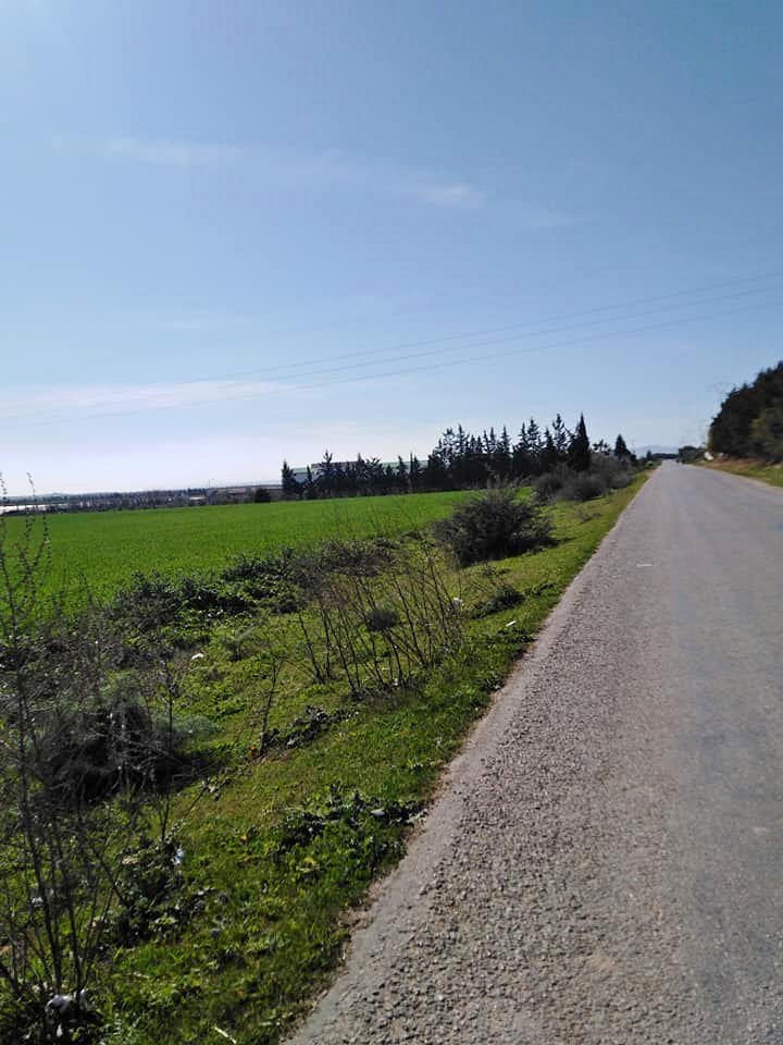 Mornaguia Mornaguia Terrain Terrain nu Morneguia vnt ter 504m2