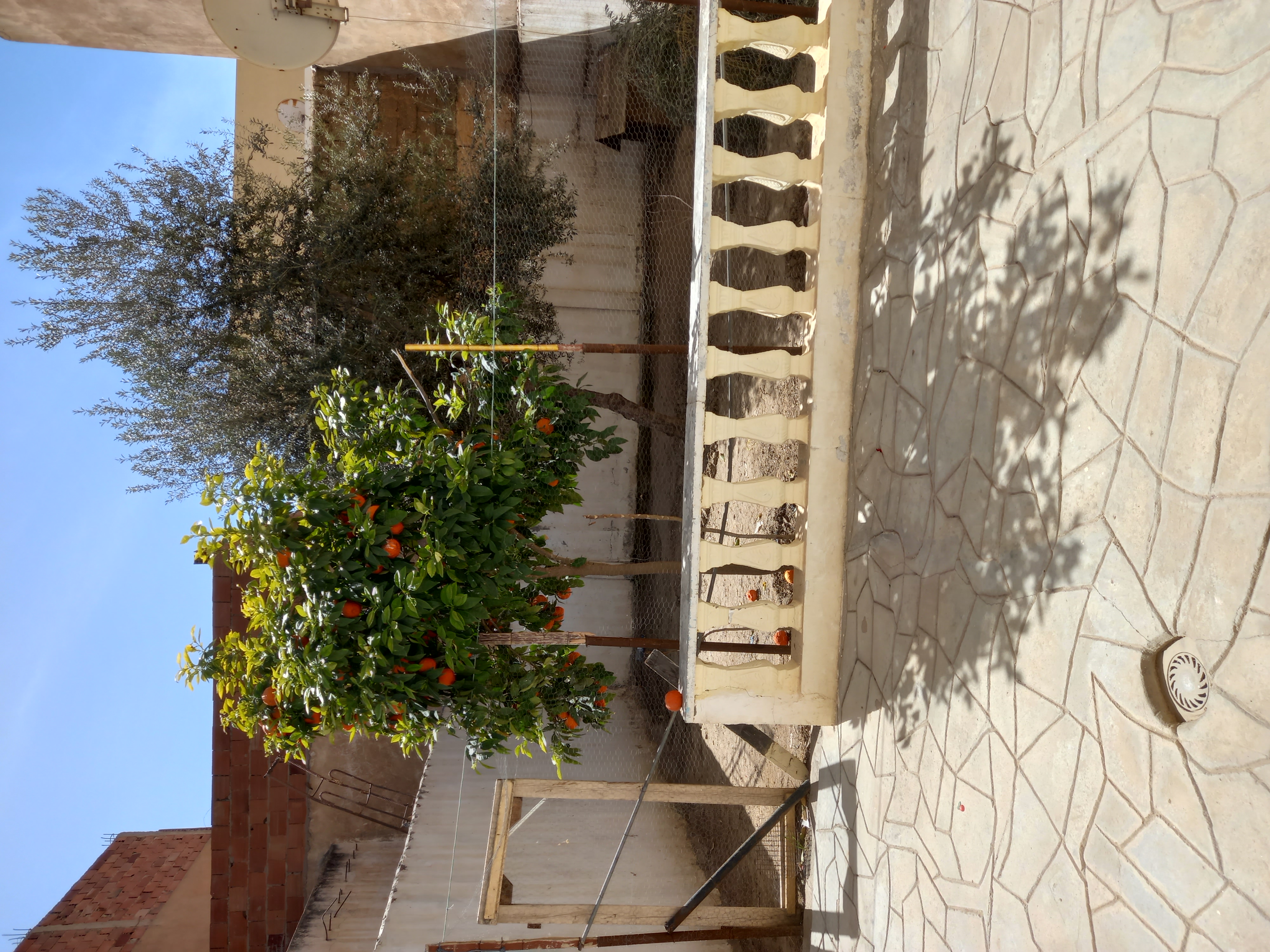 Kasserine Nord Kasserine Nour Achat Maisons Kasserine cit ennour deux maisons jumeles