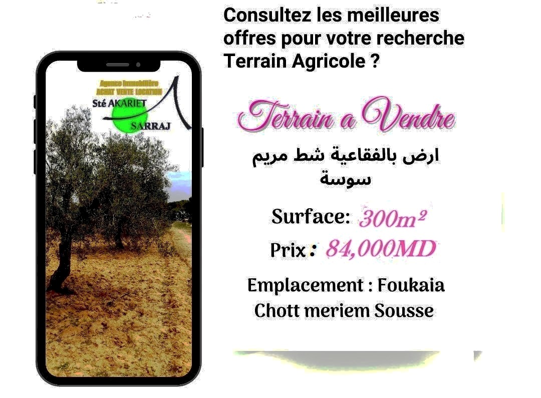 Akouda Chatt Meriem Terrain Terrain agricole Offre terrain agricole titr 300m  fokaia
