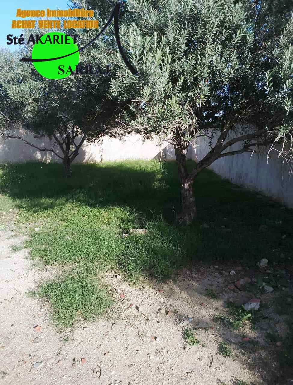 Hammam Sousse Hammam Sousse Terrain Terrain agricole Terrain cltur titr 300m  hamada hammam sousse