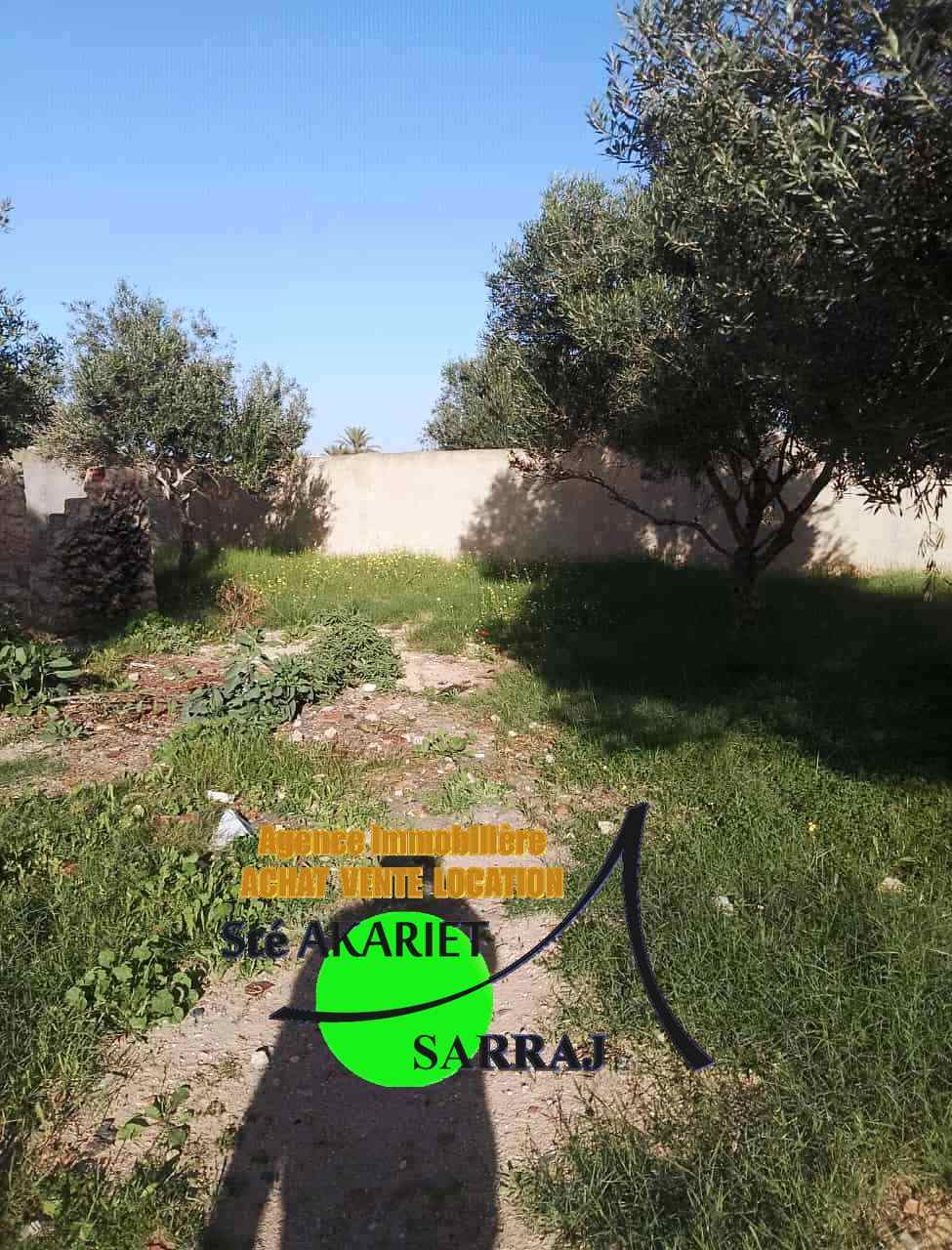 Hammam Sousse Hammam Sousse Terrain Terrain agricole Terrain cltur titr 300m  hamada hammam sousse