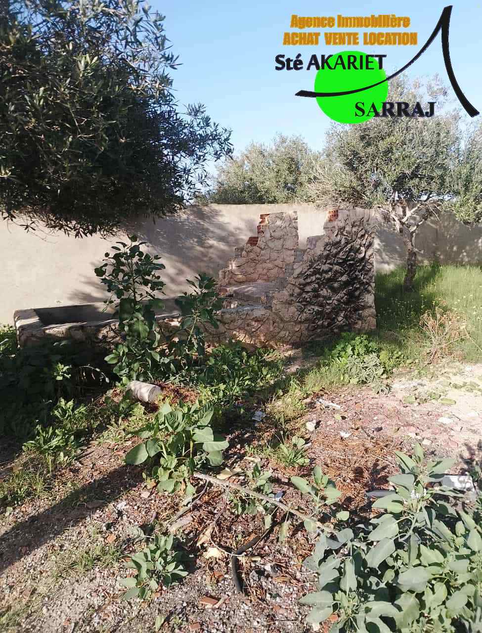 Hammam Sousse Hammam Sousse Terrain Terrain agricole Terrain cltur titr 300m  hamada hammam sousse