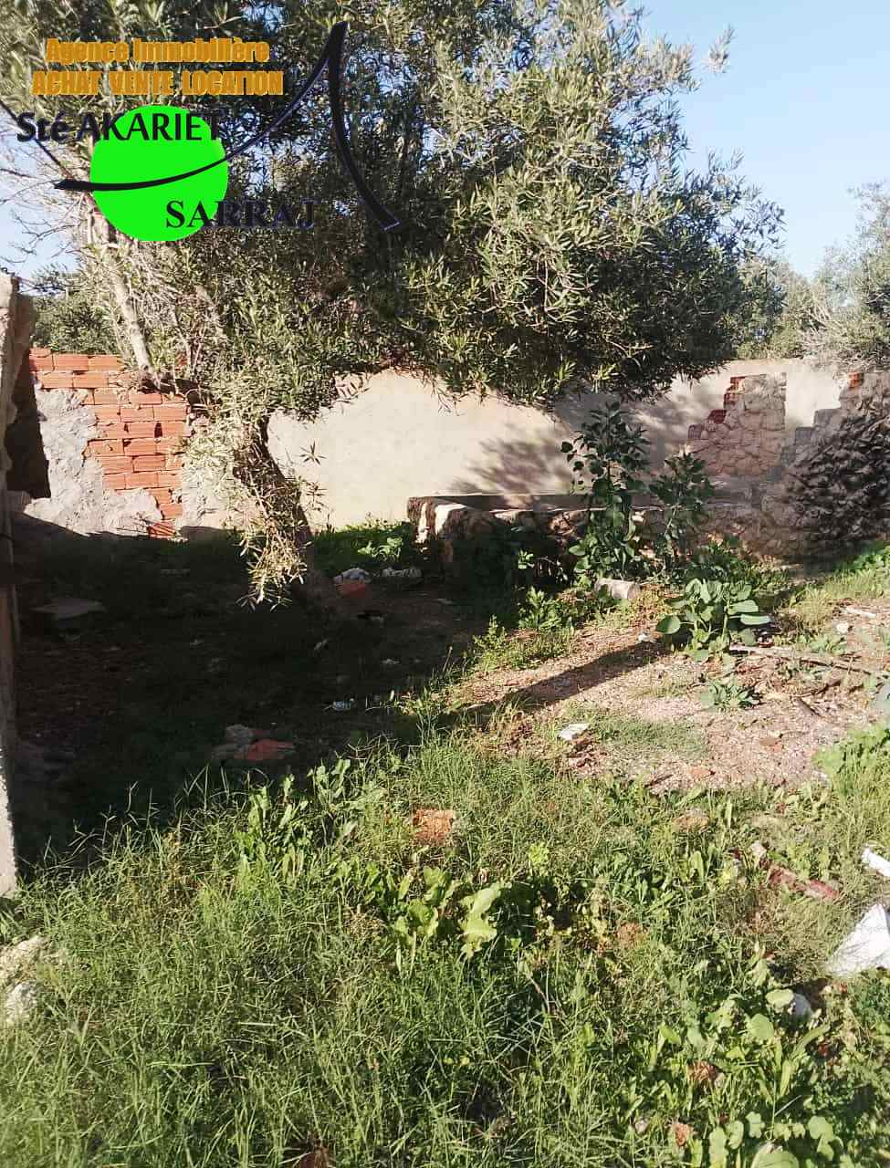 Hammam Sousse Hammam Sousse Terrain Terrain agricole Terrain cltur titr 300m  hamada hammam sousse