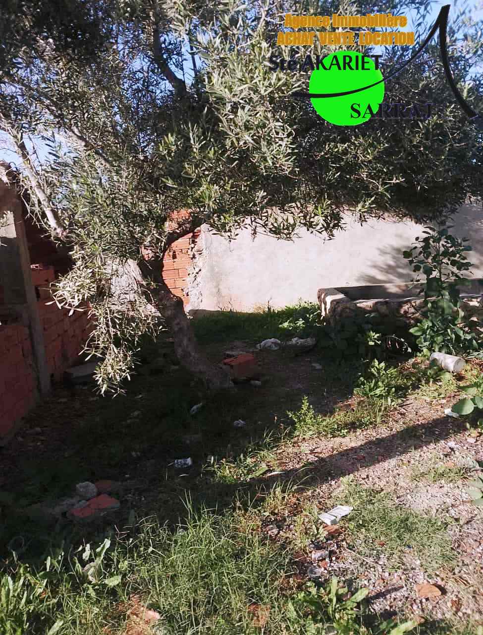 Hammam Sousse Hammam Sousse Terrain Terrain agricole Terrain cltur titr 300m  hamada hammam sousse