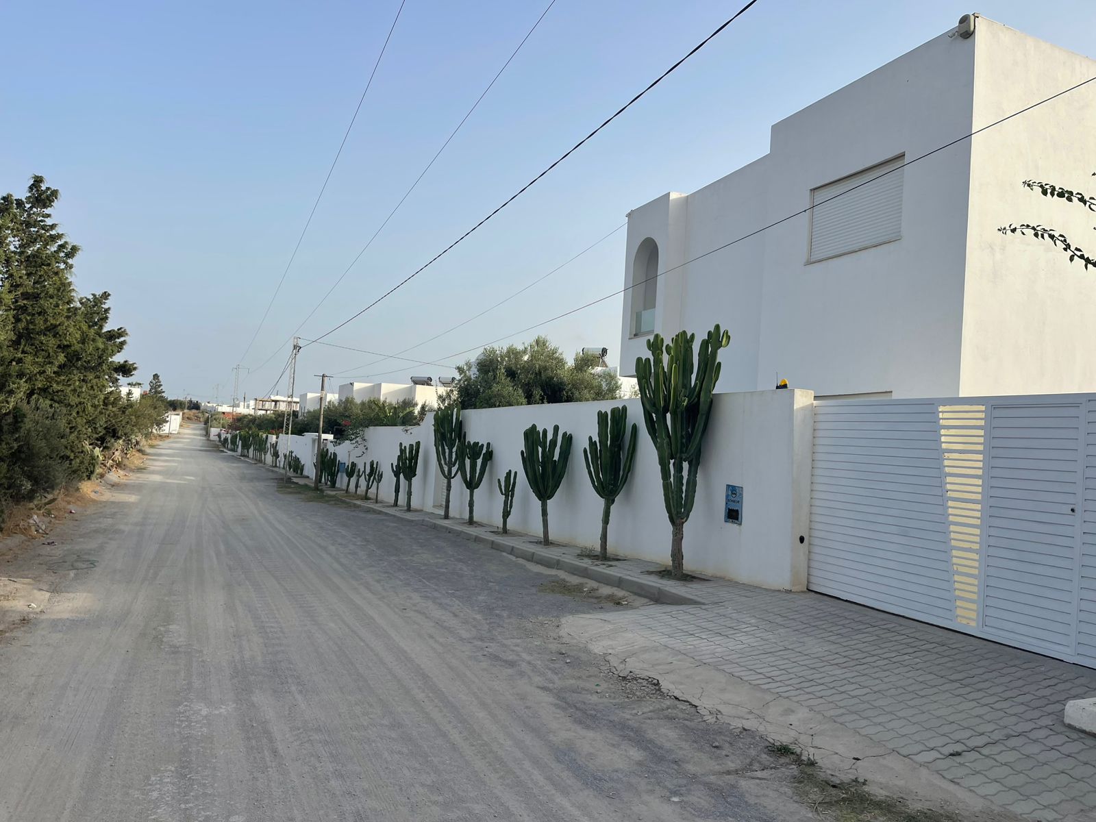 Hammamet&nbsp;Hammamet&nbsp;Vente&nbsp;Autre&nbsp;Terrain a monchar hammamet