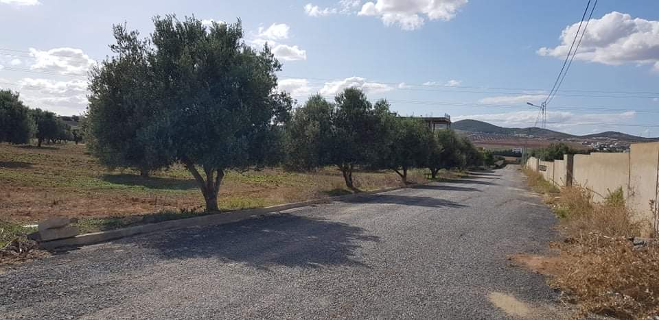 Kalaat Landlous Kalaat Landlous Terrain Terrain nu Terrain ennahli