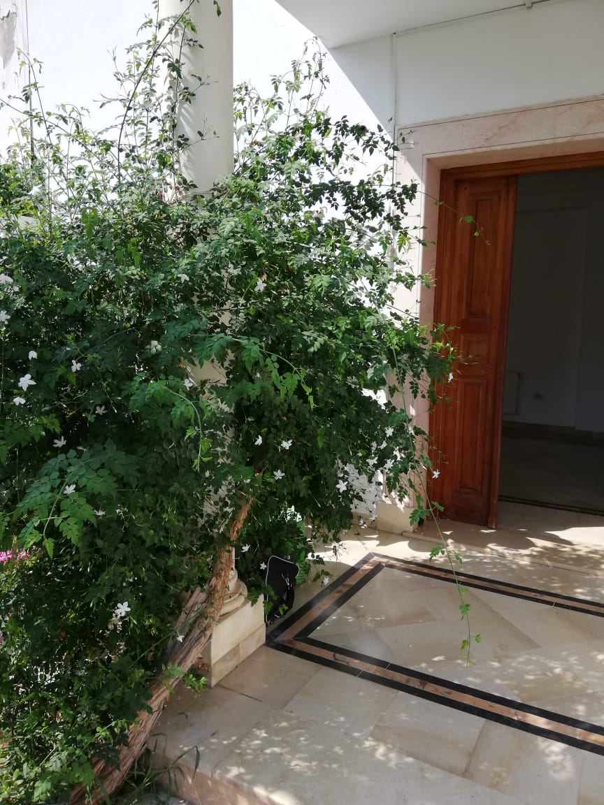 La Soukra La Soukra Location Duplex Duplex s4 avec jardin  soukra