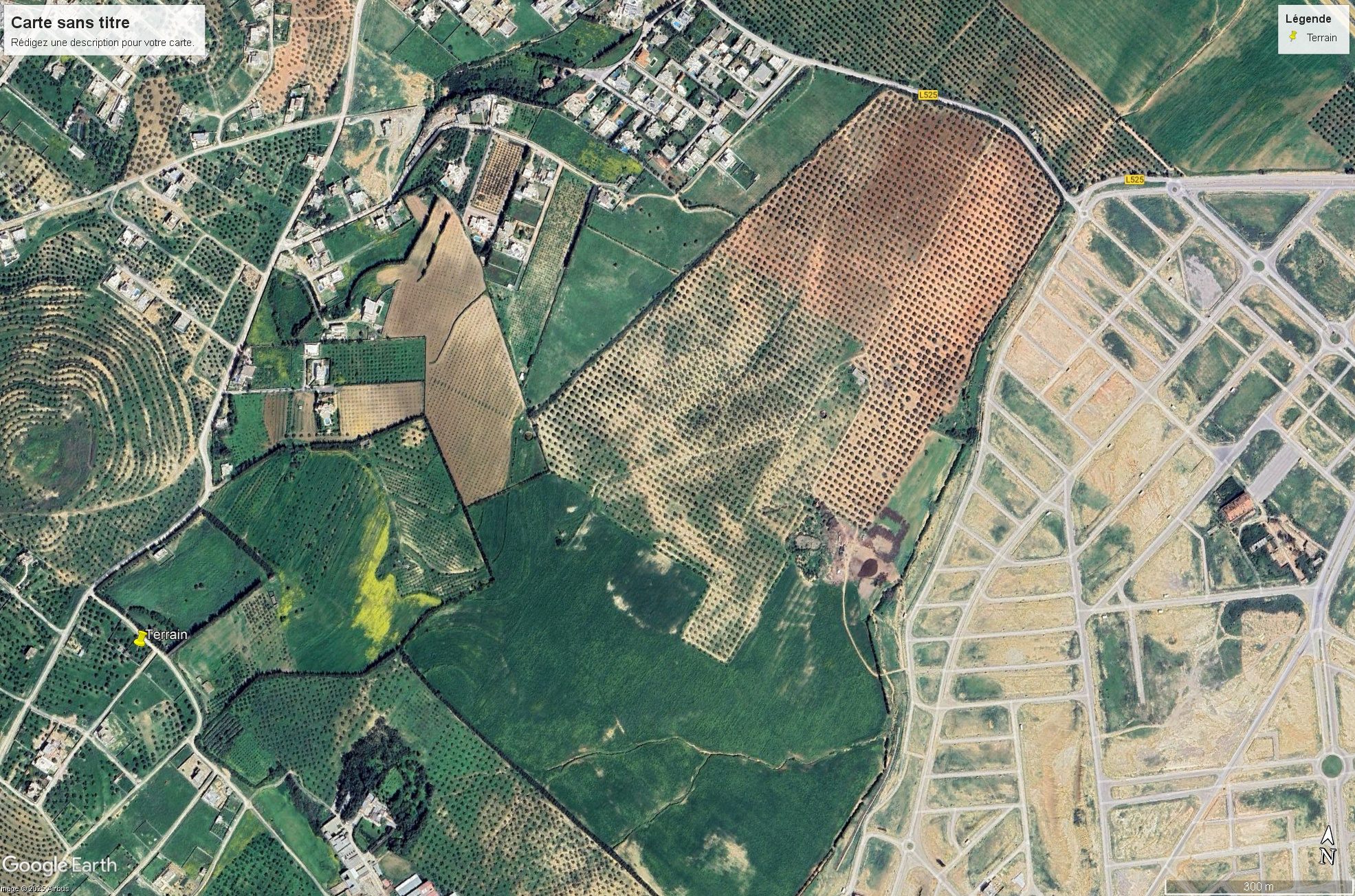 Mannouba La Mannouba Terrain Terrain nu Cit des juges sanhaja