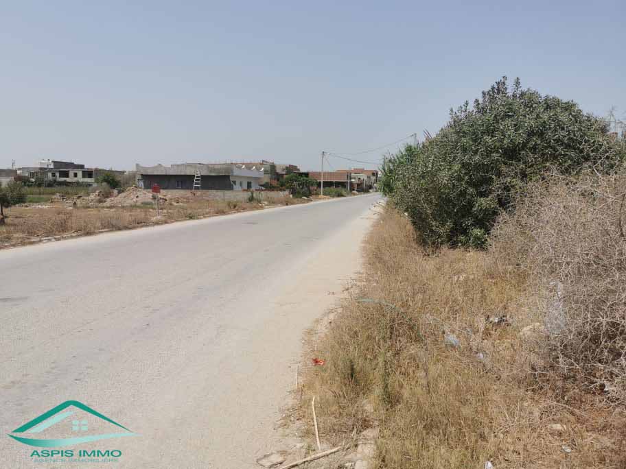 Kelibia Kelibia Vente Surfaces Vt638 terrain 250 m2  cit mirds 2 kelibia