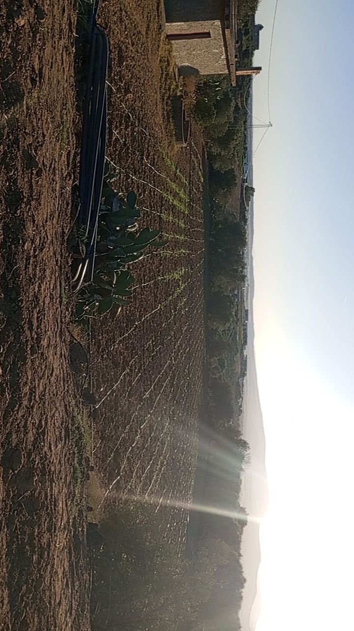 Bou Argoub El Machrouha Terrain Terrain agricole Terrain agricole