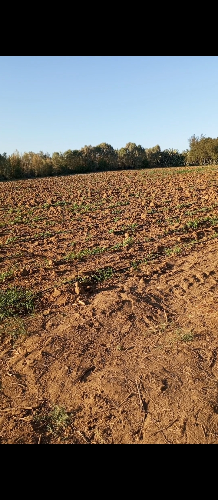 Bou Argoub El Machrouha Terrain Terrain agricole Terrain agricole