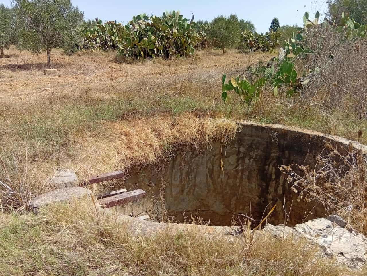 Bou Argoub Bousehem Terrain Terrain agricole Sanya fla7a