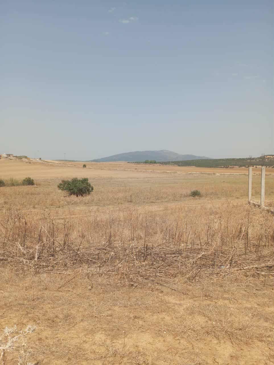 Hammam Zriba Hammam Zriba Terrain Terrain nu Av terrain 7 hectares route zaghouan hammamet