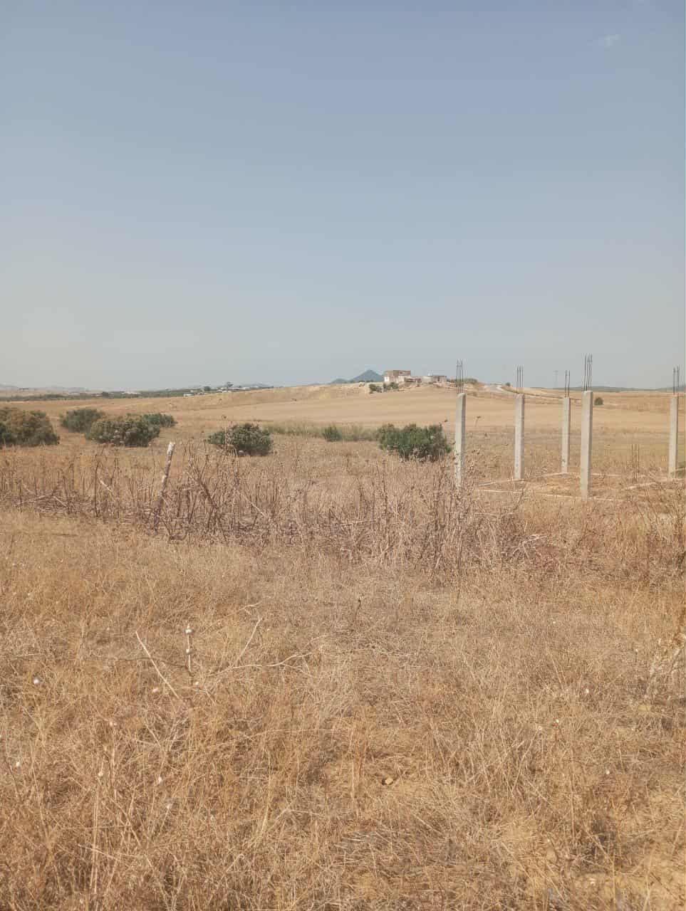 Hammam Zriba Hammam Zriba Terrain Terrain nu Av terrain 7 hectares route zaghouan hammamet