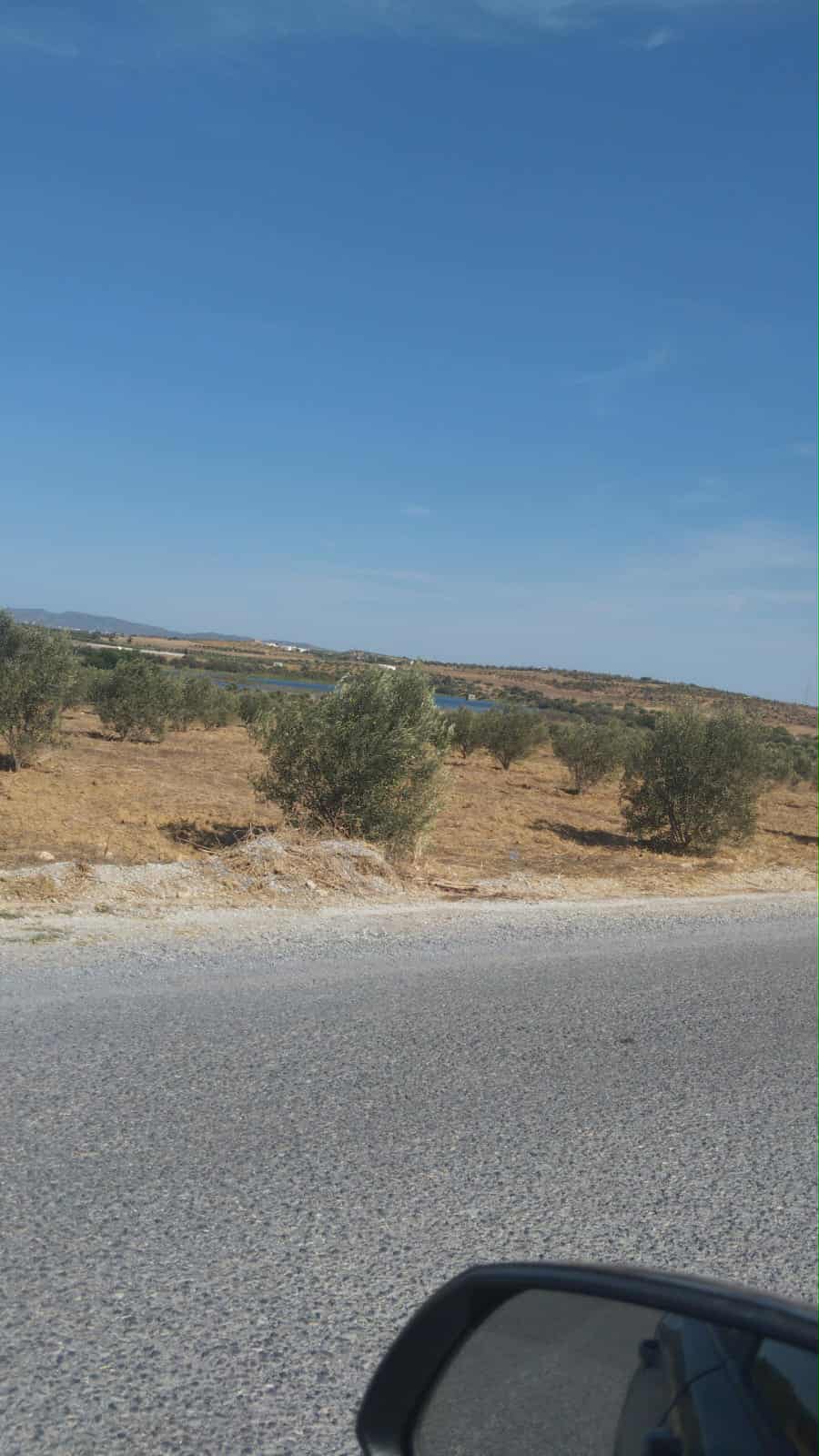 Hammamet Hammamet Terrain Terrain agricole Av de 1000m a 3000m  monchar