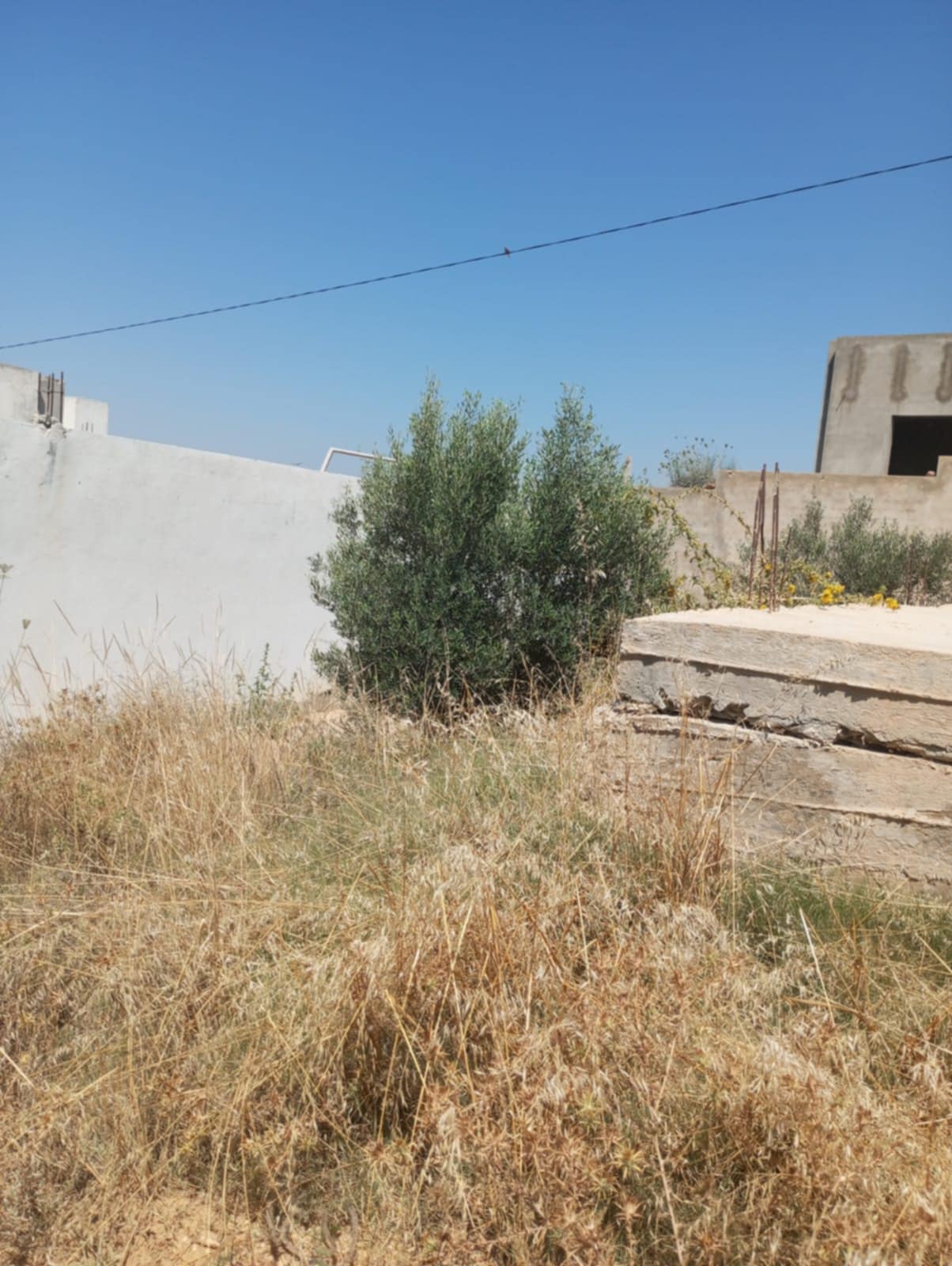 Hammamet Hammamet Terrain Terrain nu Av 200m avec fondation  hammamet sud